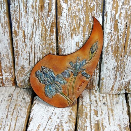 acoustic guitar pickguard